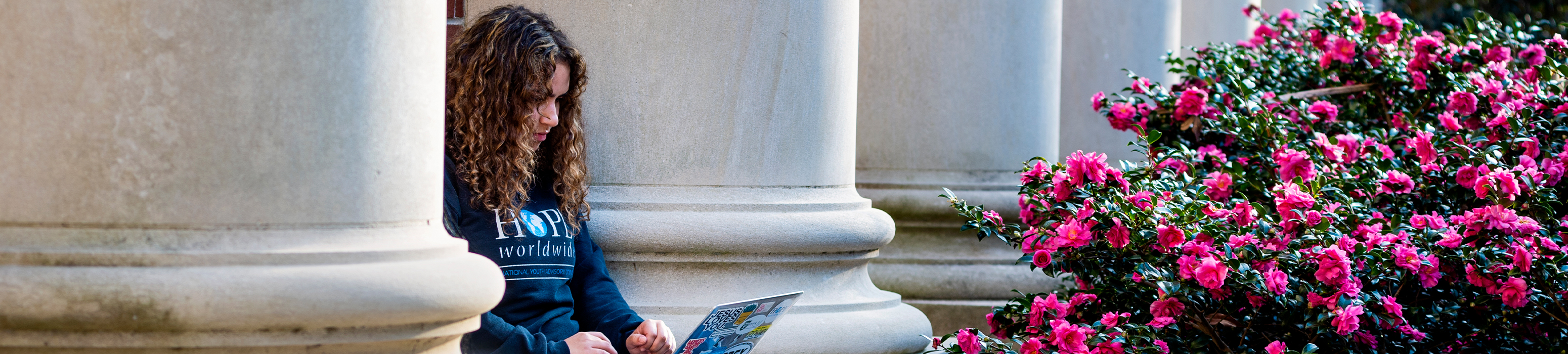 college student looking at laptop outdoors