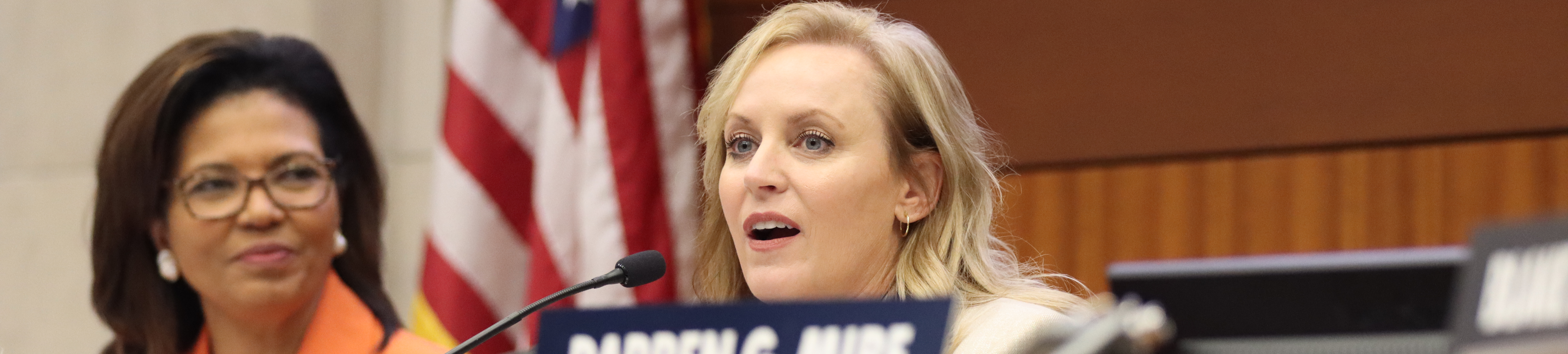 Louisiana Board of Regents Board Meeting Image of two Board Members Speaking