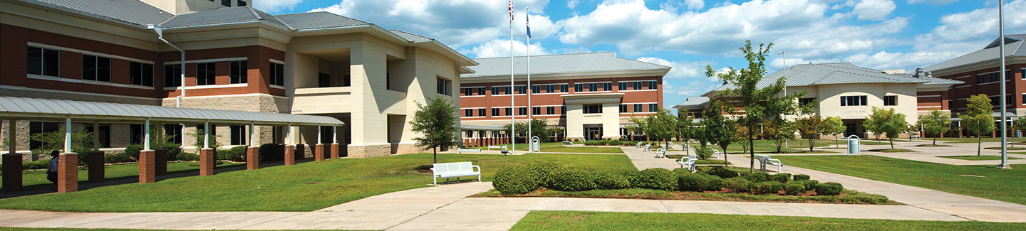 college campus with green space and sidewalks