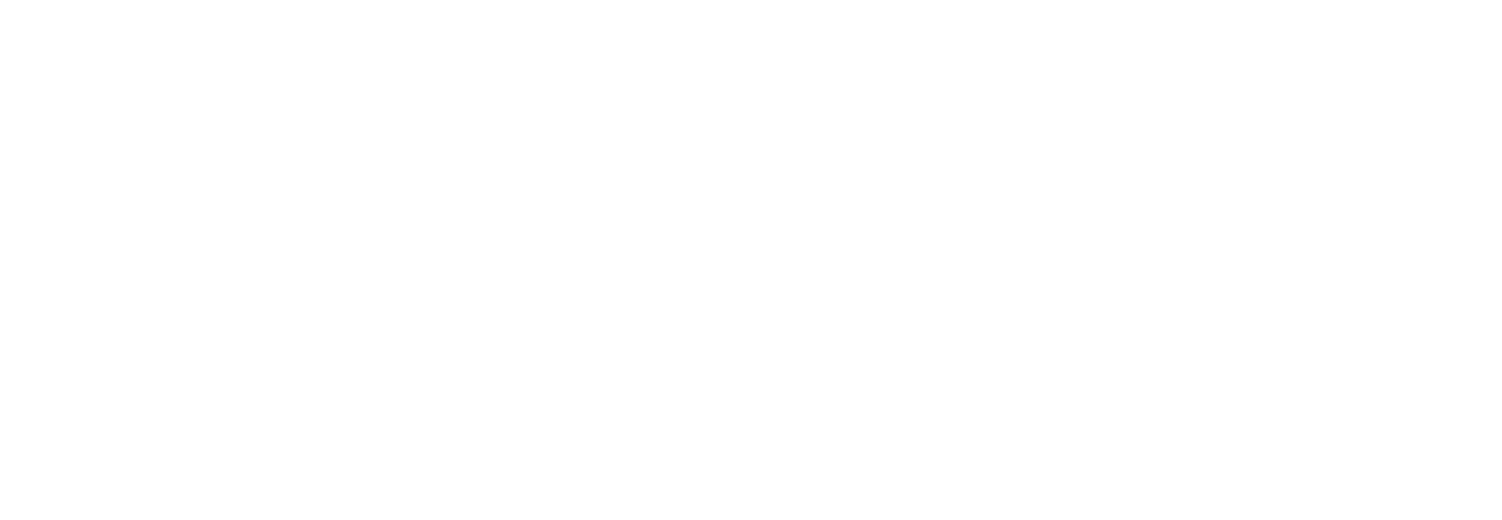 Meaumentum Summit 4 logo